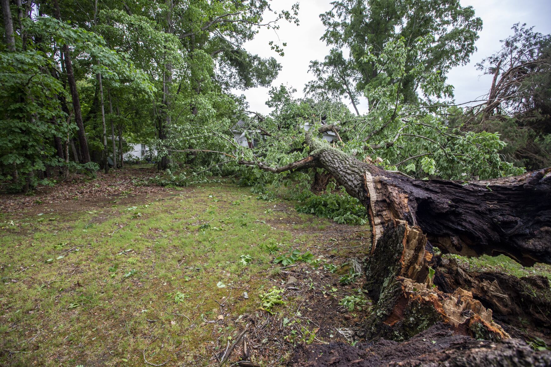 Wentworth Tornado